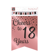 Banner 18 Jaar Roze Zwart 6m